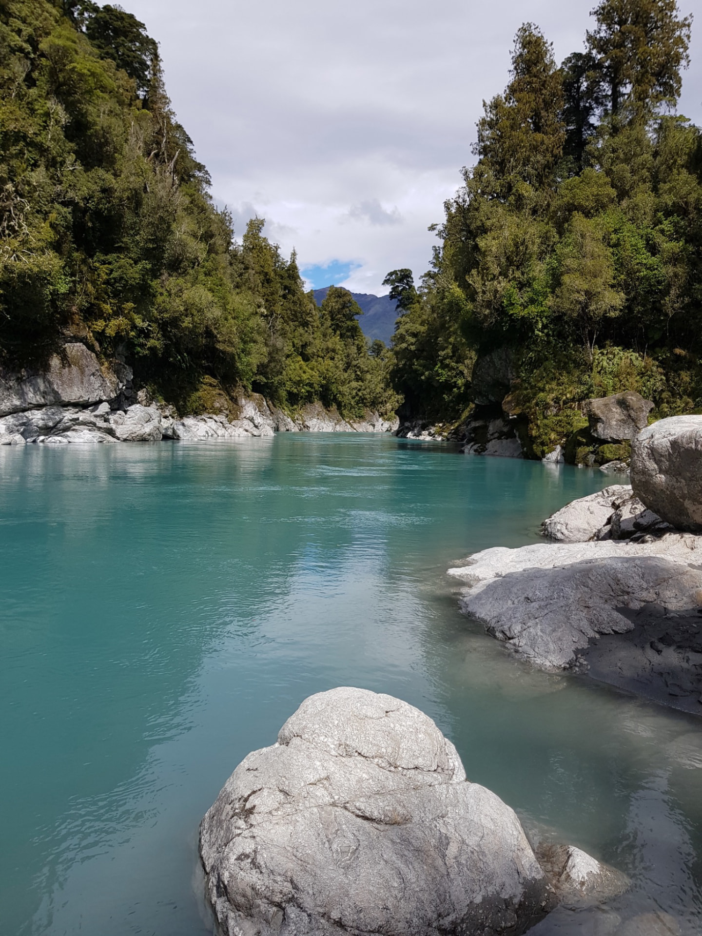 Turquoise glacial river running between bush-clad rock walls, Hokitika Gorge, West Coast