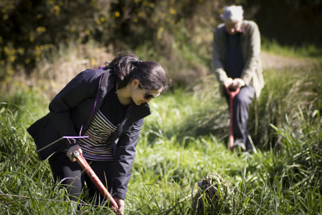 People planting with hand tools in grass