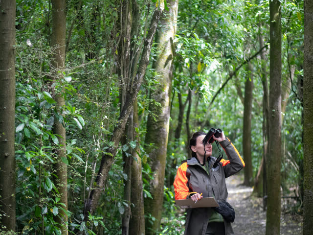 An observer using binoculars while holding a clipboard