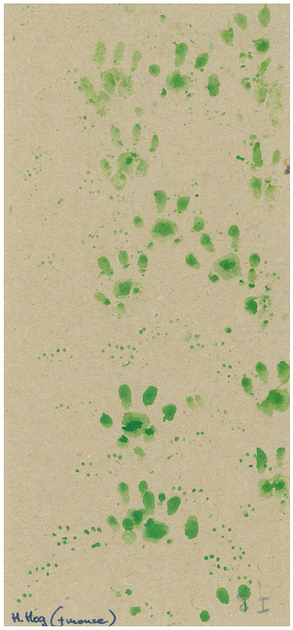 A tracking card bearing footprints and a handwritten label