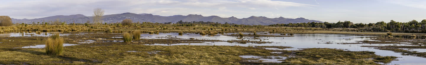 Travis Wetland open water and vegetation