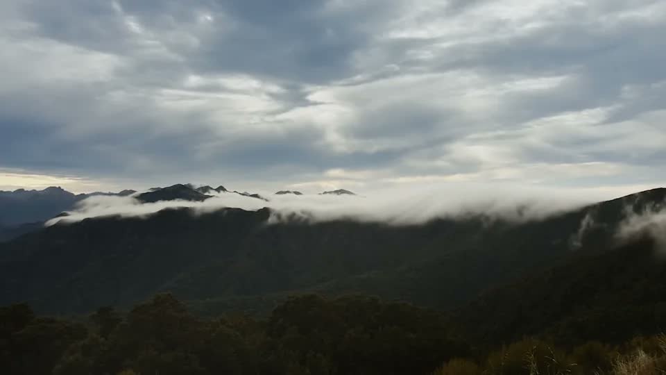 Forested Paparoa ridges beneath low cloud